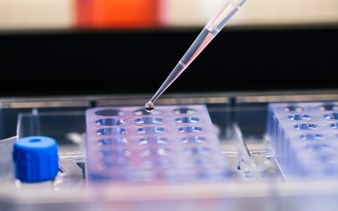 Development, validation, and establishment of intestinal organoids to study host-parasite interactions in veterinary medicine