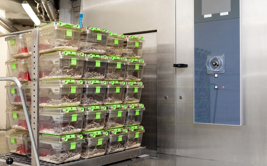AVOIDANCE OF SURPLUS: Breeding of Genetically Engineered Mouse Models