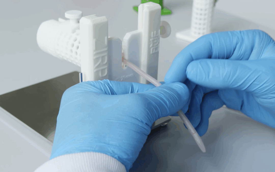 Replacing mice with 3D printed mouse tails for tail injection training