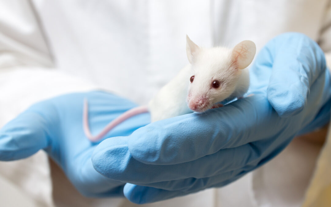 AVOIDANCE OF SURPLUS: Breeding of Genetically Engineered Mouse Models