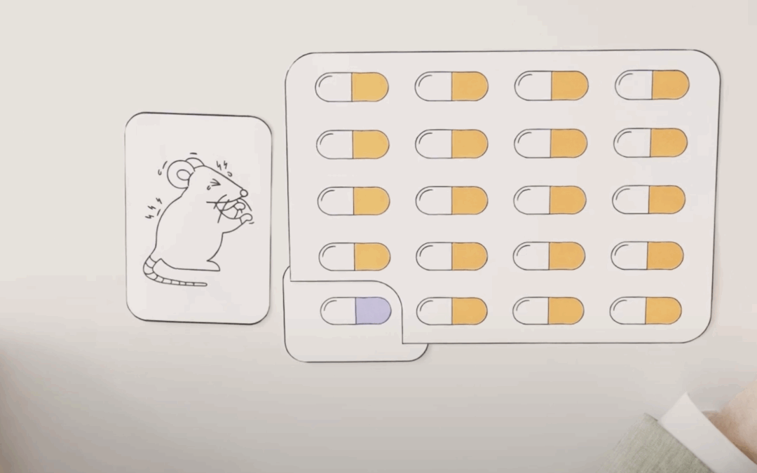3RS EXPLAINER: Animal use in the development of medicine