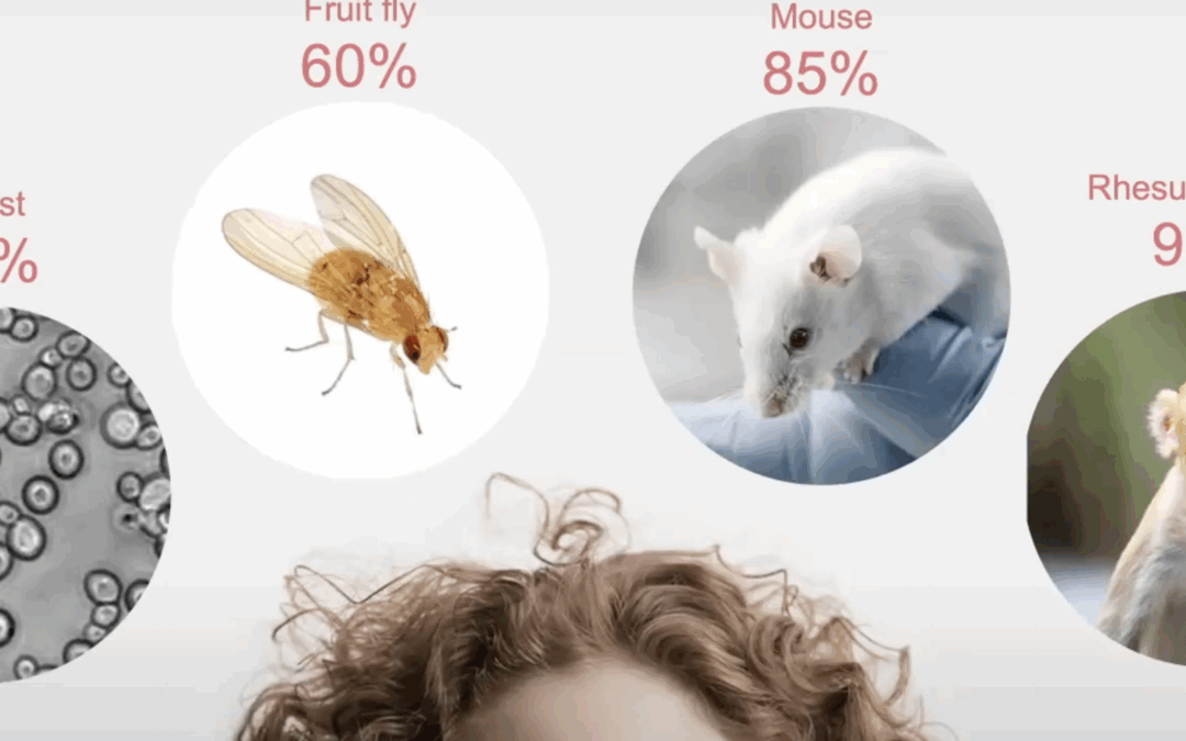 TEACH THE TEACHER: Animal use in research and the 3Rs